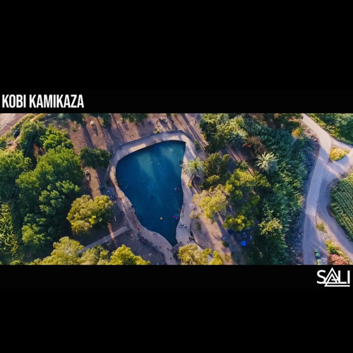 Live DJ Set Sunset Deep House/Techno - SALI | KOBI KAMIKAZA Percussions