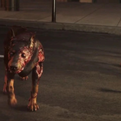 Vibes? (intro)(Prod. EdanStopDreaming)