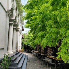 Cum sună o zi la POINT