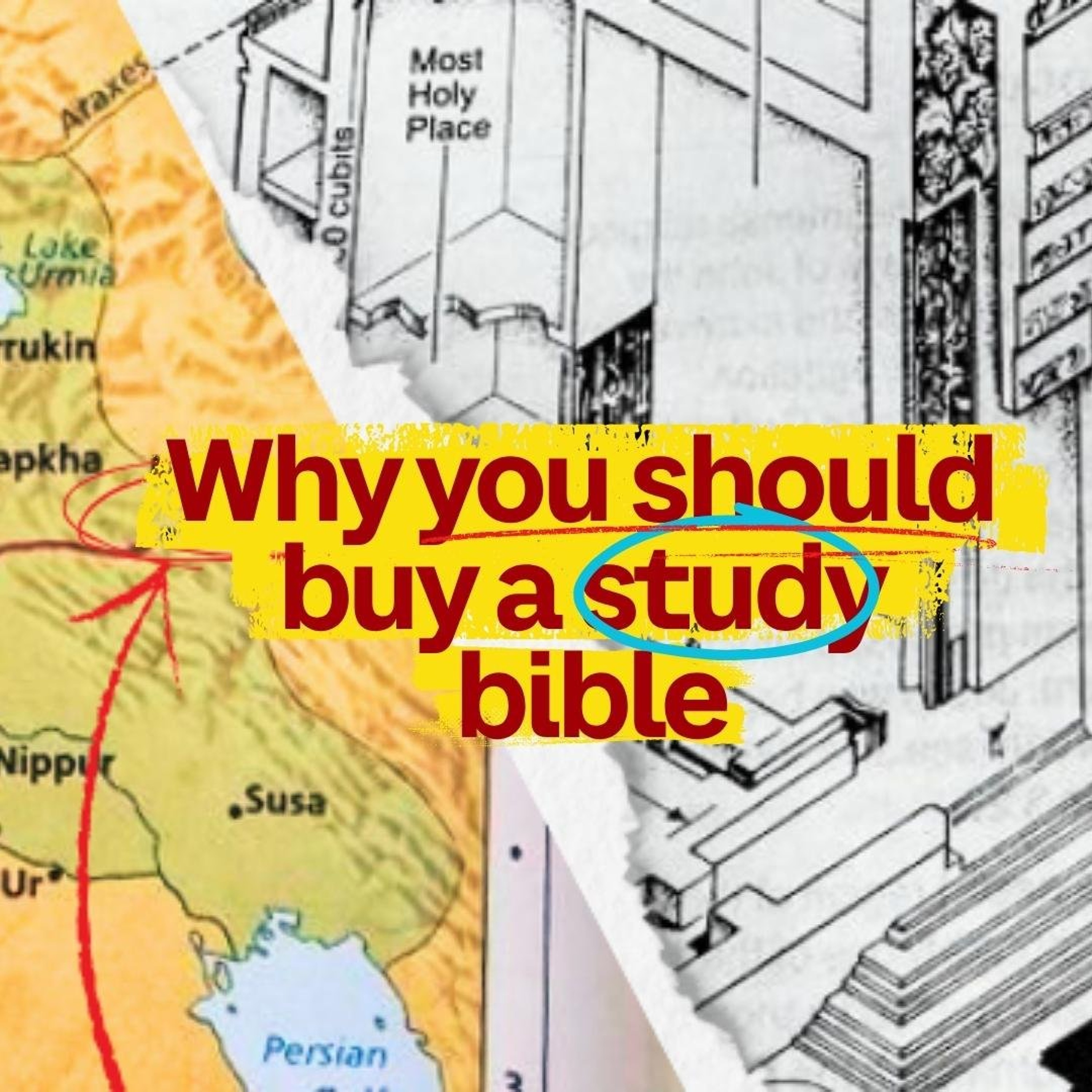 Why you should buy a study bible | Ps Adam White