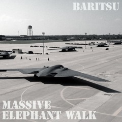 Massive Elephant Walk