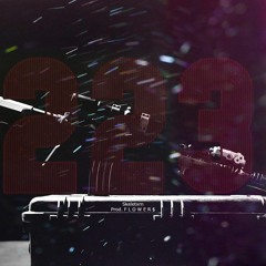 223 (Prod. F L O W E R $)
