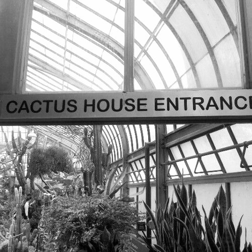 Stream The Cactus House (prod. surrealchapo & zeegoinxrazy) by