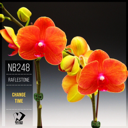 RafleSTone - Comming Changes (Original Mix)