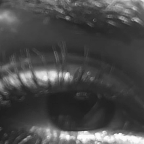 ناعمة للغاية ، وعيناها كبيرتين تشبهان قمرين