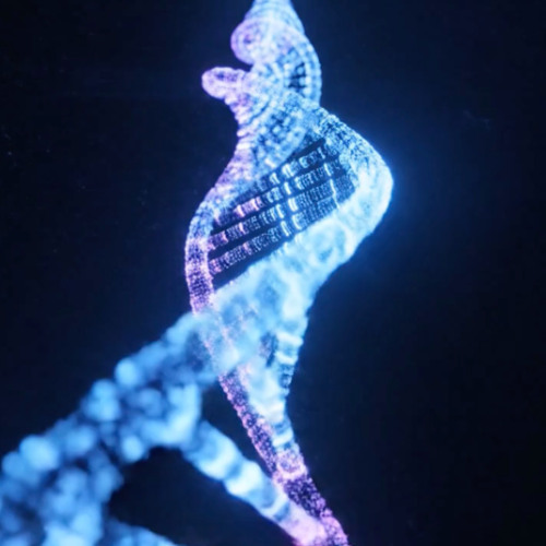 Simulation Hypothesis feat Natalie (Synthesizer V)