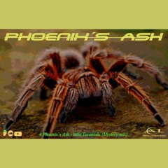 Phoenix´s Ash - little Tarantula (Mystery mix)