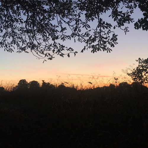 BICEP - GLUE ( Ali Haery )  X Rui Da Silva - Touch me ( Ruidasilva )