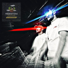 LeimTekk @ Heidewitzka Festival 2025 SetCut