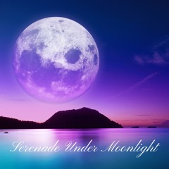 Tranquil Echoes of Peace