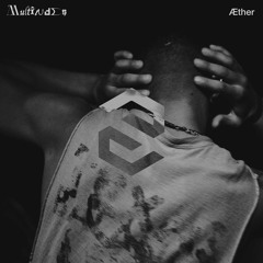 MULTITUDES 002: Æther - Can You Feel Da Bass ?