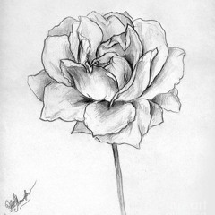 Shred Collab Jared Dines And Bizkit(Mark Leyshon) Collab 2023.WAV