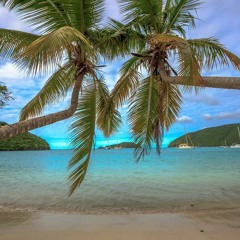 Ai ، Ai ، تبدیل کریں ، نوکریاں your background FREE DOWNLOAD