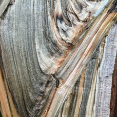 xstasyslim - runnin (bloody vol) *snippet*