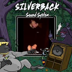 DNB // XONDER - SILVERBACK SUNDAY SESSIONS