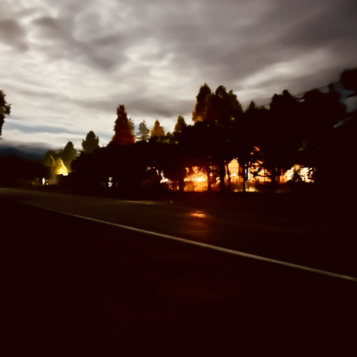 Palms