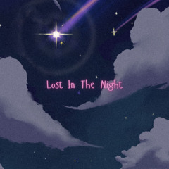 Lost In The Night