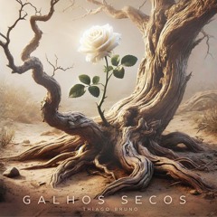 Para Nossa Alegria "Galhos Secos" by Thiago Bruno