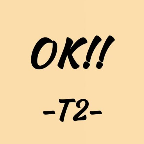 Ok - ( Fintolibera Edit )