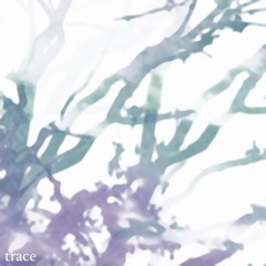 trace, featuring inci0