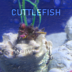 PVNCHA - Cuttlefish (Free Download)