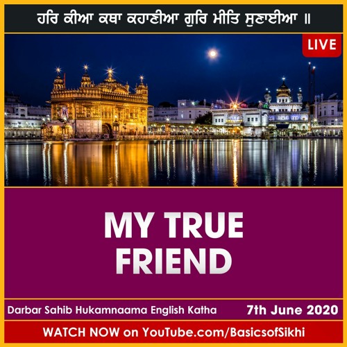 My true friend watch online hotsell