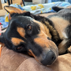 Aden Foyer - In Every Photograph