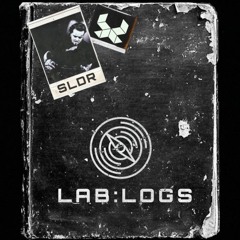 LAB:LOGS File No. 6 - SLDR