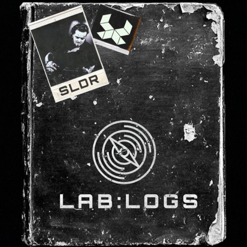 LAB:LOGS File No. 6 - SLDR