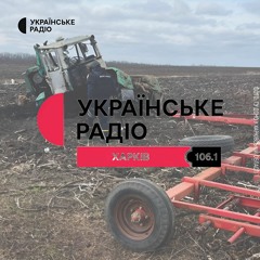 "Земля пустоти не любить". Як міняються ціни на агропродукцію, що впливає і як працюють аграрії