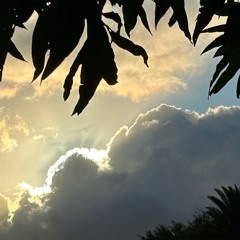 Tattoo Scars by SonSon