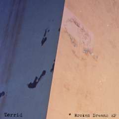 Premiere: Torrid - Brain Damage [W133D010]