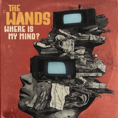 𝐓𝐇𝐄 𝐖𝐀𝐍𝐃𝐒 : 𝚆𝚑𝚎𝚛𝚎 𝙸𝚜 𝙼𝚢 𝙼𝚒𝚗𝚍 ?