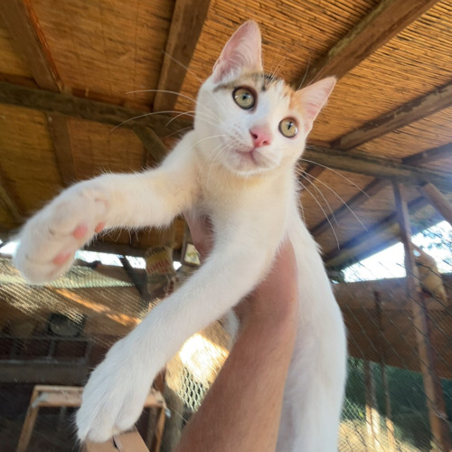 Serial Killaz - Hall Of Fame Rmx