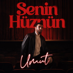 SENİN HÜZNÜN