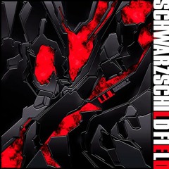 SCHWARZSCHILD FIELD - L.E.D.