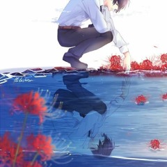 Scarlet Spider Lilies