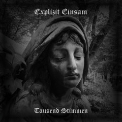 Tausend Stimmen (Radio Mix)