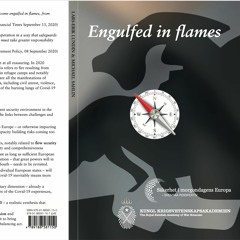 Audio Engulfed In Flames - sydrapport SES-projektet