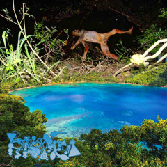 Neocortexerridyncereberlarmetateriolikaryogamy Hypochondriasis Furthering Kolpotomic Nurgenitality (Fijimix)