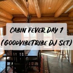 Cabin Fever Day 1 (GoodVibeTribe Melodic Dubstep DJ Set)