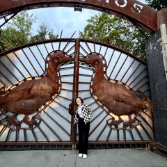 Warm up the Duck!🦆 Johana Jost @ Sisyphos Wintergarten June 2024
