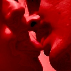 WE MET AT VENUS CLUB