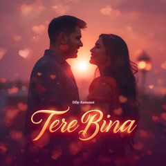Tere Bina