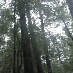 三年前 ෆ⁠╹⁠ ⁠.̮⁠ ⁠╹⁠ෆ ویی