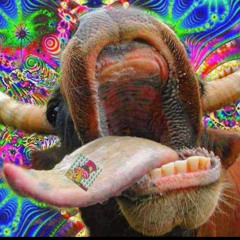 ACID BABY