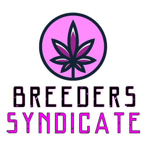Breeders Syndicate 2.0 - Hypothetical Breeding Project A to Z, Green Crack, Appalachia, Notsos Cure Tech S05 E06