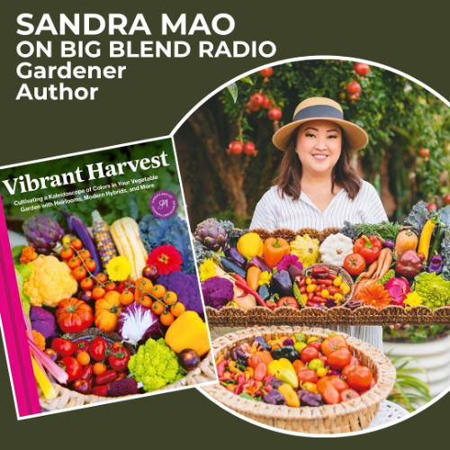 Vibrant Harvest: Growing a Kaleidoscope of Color in Your Garden