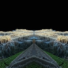 awakening presence