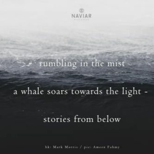 Naviarhaiku#326 /rumbling in the mist
